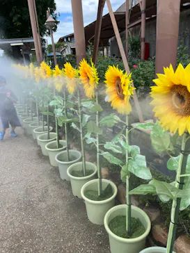 ひらかたパークに投稿された画像（2022/7/24）