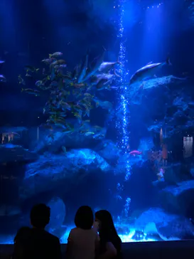 すみだ水族館に投稿された画像（2022/7/24）