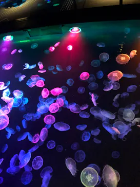 すみだ水族館に投稿された画像（2022/7/24）