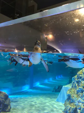 すみだ水族館に投稿された画像（2022/7/24）