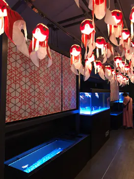 すみだ水族館に投稿された画像（2022/7/24）