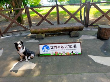 世界の名犬牧場に投稿された画像（2022/7/24）