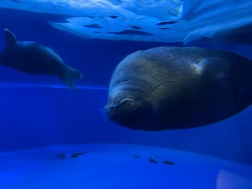 サンシャイン水族館に投稿された画像（2022/7/24）