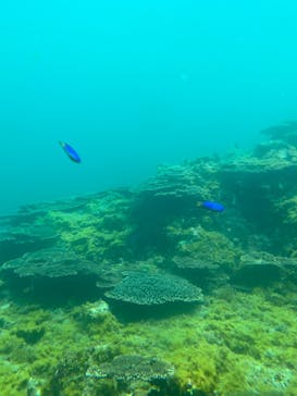 串本海中公園水族館に投稿された画像（2022/7/24）
