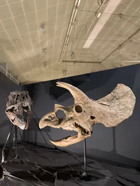 ひらかたパークに投稿された画像（2022/7/24）