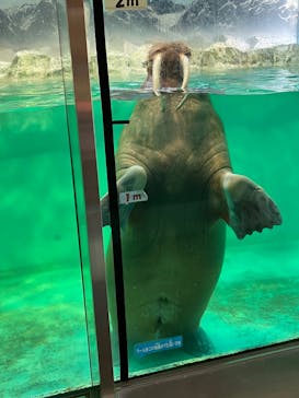 南知多ビーチランド＆南知多おもちゃ王国に投稿された画像（2022/7/24）