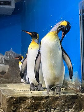 南知多ビーチランド＆南知多おもちゃ王国に投稿された画像（2022/7/24）