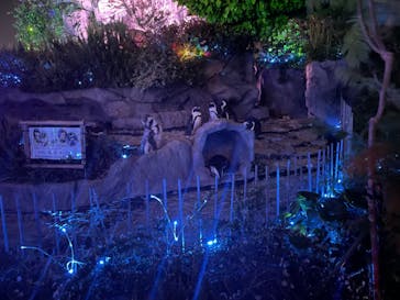 サンシャイン水族館に投稿された画像（2022/7/24）