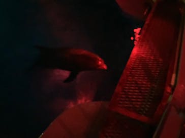 南知多ビーチランド＆南知多おもちゃ王国に投稿された画像（2022/7/24）