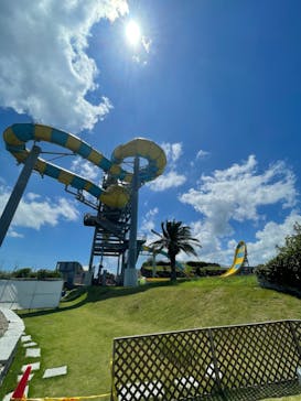 蓮沼ウォーターガーデンに投稿された画像（2022/7/24）