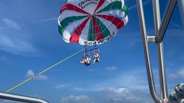 Sea World（シーワールド）に投稿された画像（2022/7/24）