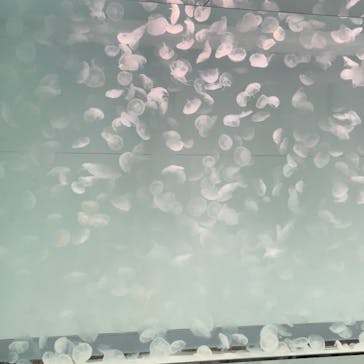 アクアワールド茨城県大洗水族館に投稿された画像（2022/7/24）