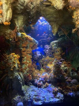 サンシャイン水族館に投稿された画像（2022/7/24）