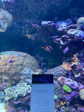 サンシャイン水族館に投稿された画像（2022/7/24）