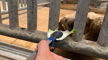 熱川バナナワニ園に投稿された画像（2022/7/24）