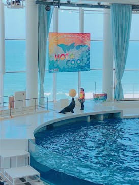 アクアワールド茨城県大洗水族館に投稿された画像（2022/7/24）