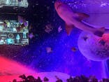 UWSアクアリウム　UNDER WATER SPACEに投稿された画像（2022/7/25）
