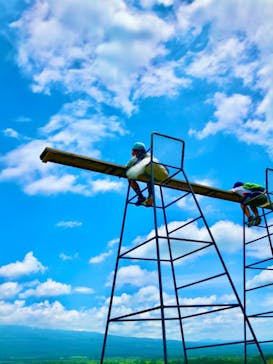 まかいの牧場に投稿された画像（2022/7/24）