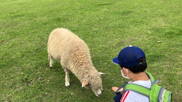 まかいの牧場に投稿された画像（2022/7/24）