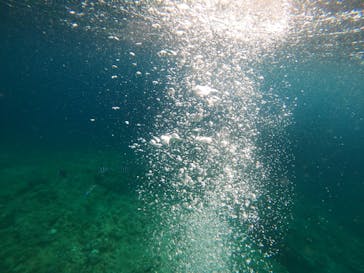 沖縄マリンサービス碧に投稿された画像（2022/7/24）