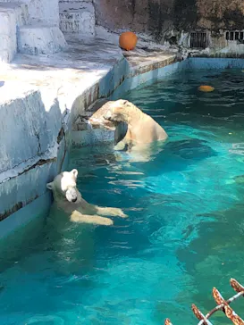 天王寺動物園に投稿された画像（2022/7/25）