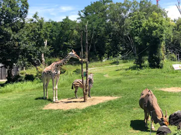 天王寺動物園に投稿された画像（2022/7/25）