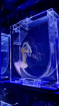 すみだ水族館に投稿された画像（2022/7/25）