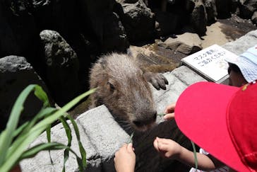伊豆シャボテン動物公園に投稿された画像（2022/7/25）