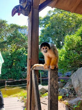 伊豆シャボテン動物公園に投稿された画像（2022/7/25）