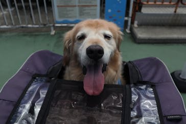 伊豆ぐらんぱる公園に投稿された画像（2022/7/25）