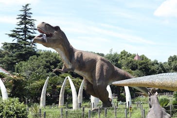 伊豆ぐらんぱる公園に投稿された画像（2022/7/25）