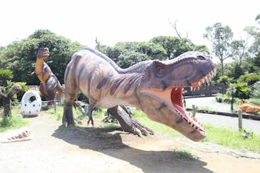 伊豆ぐらんぱる公園に投稿された画像（2022/7/25）