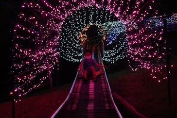 伊豆ぐらんぱる公園に投稿された画像（2022/7/25）