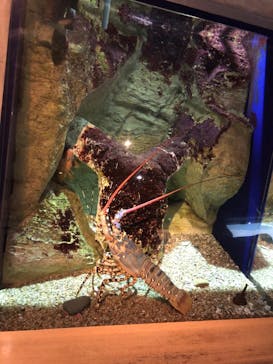 九十九島水族館海きららに投稿された画像（2022/7/25）