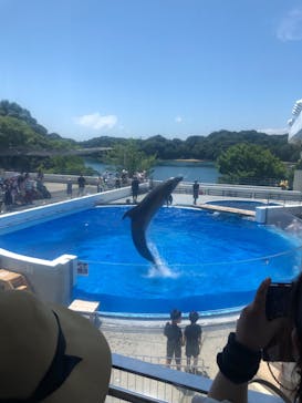 九十九島水族館海きららに投稿された画像（2022/7/25）
