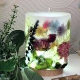 ずこうしつ〜sugamo〜に投稿された画像（2022/7/25）