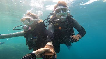 DIVING-SHOP SUNSに投稿された画像（2022/7/25）