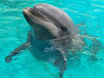 伊豆・三津シーパラダイスに投稿された画像（2022/7/25）