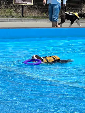 わんダフルネイチャーヴィレッジに投稿された画像（2022/7/25）