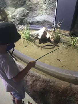 伊豆・三津シーパラダイスに投稿された画像（2022/7/25）