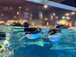 すみだ水族館に投稿された画像（2022/7/25）