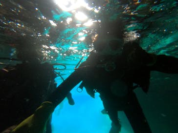 DIVING-SHOP SUNSに投稿された画像（2022/7/25）