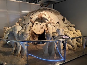 国立科学博物館に投稿された画像（2022/7/25）