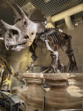 国立科学博物館に投稿された画像（2022/7/25）
