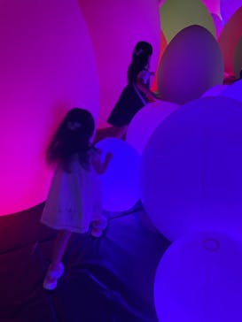 森ビル デジタルアート ミュージアム：エプソン チームラボボーダレスに投稿された画像（2022/7/25）