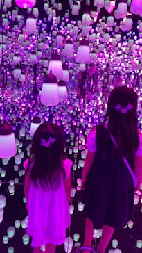 森ビル デジタルアート ミュージアム：エプソン チームラボボーダレスに投稿された画像（2022/7/25）