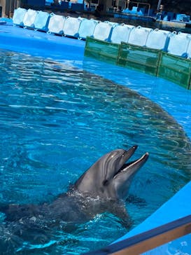名古屋港水族館に投稿された画像（2022/7/26）