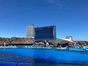 名古屋港水族館に投稿された画像（2022/7/26）