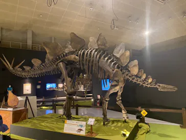 ひらかたパークに投稿された画像（2022/7/26）