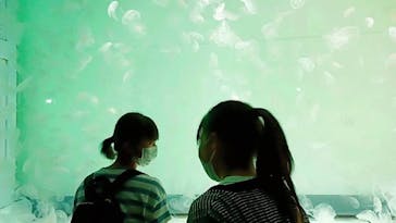 アクアワールド茨城県大洗水族館に投稿された画像（2022/7/23）